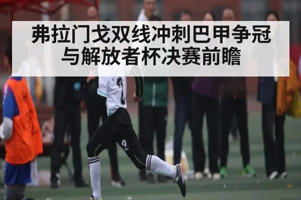 弗拉门戈双线冲刺巴甲争冠与解放者杯决赛前瞻